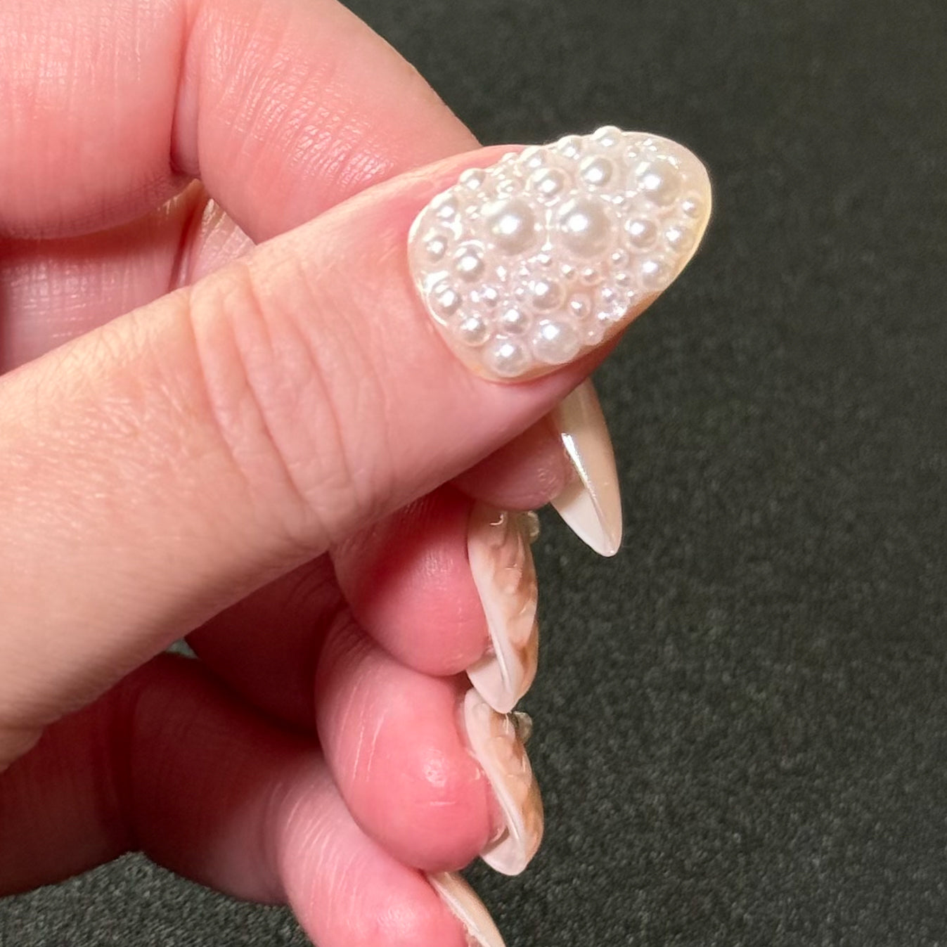 June (Sea Shells)